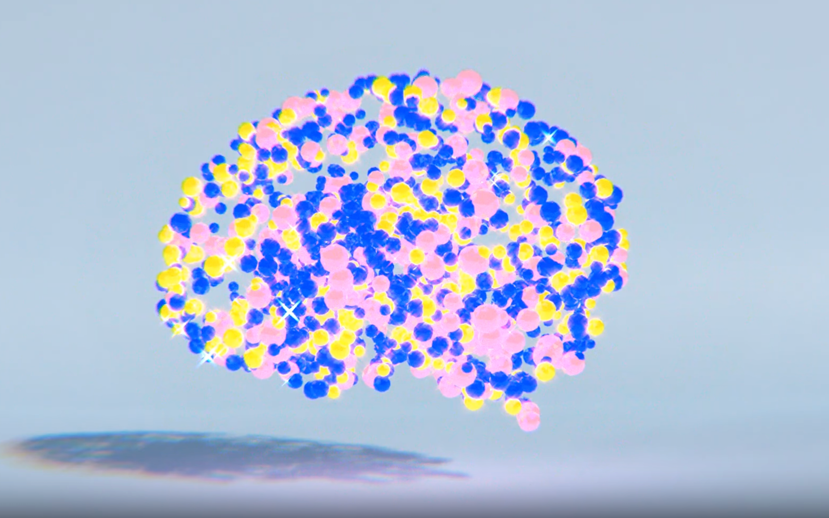 Universiteitskwartier